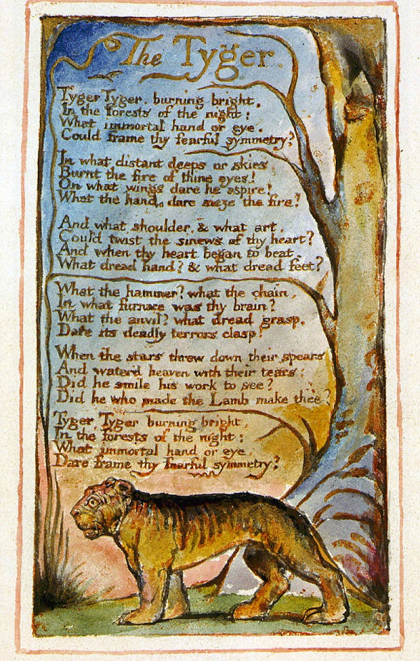 the tyger songs of experience